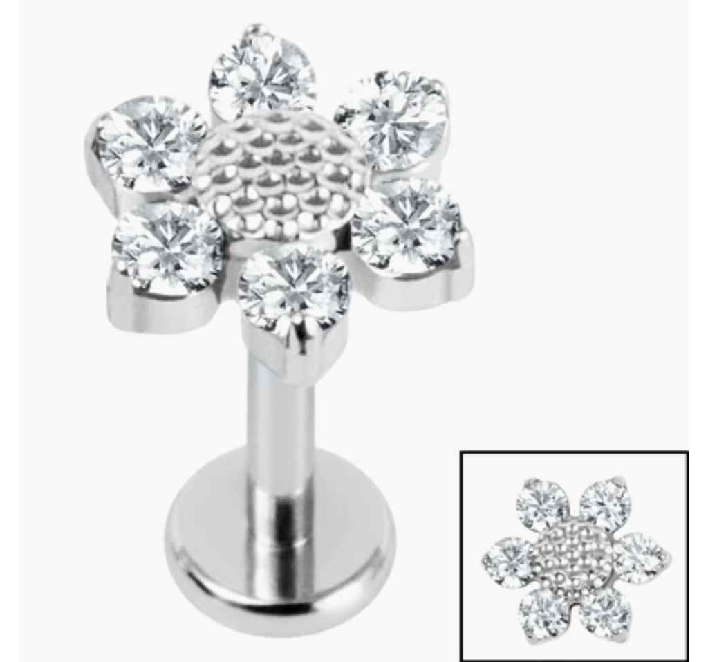 Jewelled Daisy