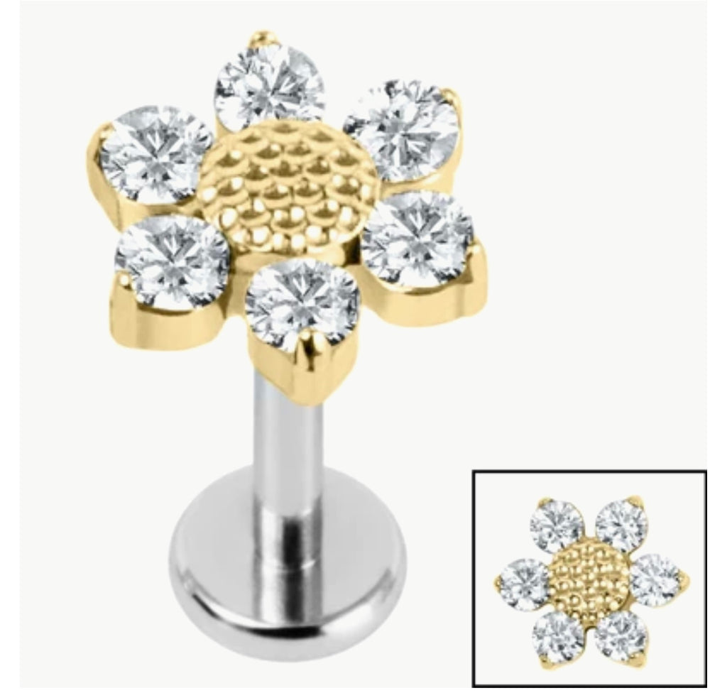 Jewelled Daisy